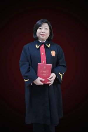 孔村法庭庭长  夏民