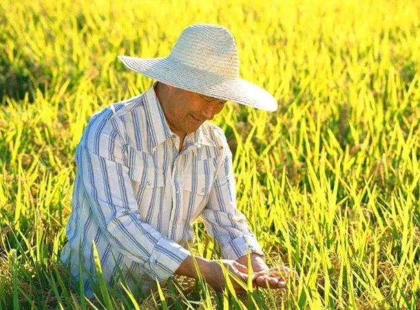微信图片_20200825142003
